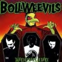 Weevilive - BOLLWEEVILS