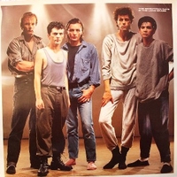 In the long grass - BOOMTOWN RATS