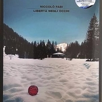 Libertà negli occhi - NICCOLO' FABI