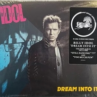 Dream into it - BILLY IDOL