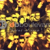 Point of view remixes (6 tracks+1 video track) - DB BOULEVARD
