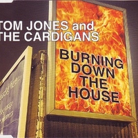 Burning down the house (5 tracks) - TOM JONES \ CARDIGANS
