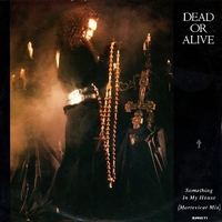 Something in my house (Mortevicar mix) - DEAD OR ALIVE