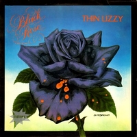 Black rose - THIN LIZZY