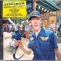 A little south of sanity - AEROSMITH