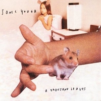 A thousand leaves - SONIC YOUTH