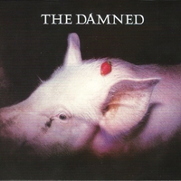 Strawberries - DAMNED