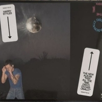 Kiss All The Time. Disco, Occasionally - HARRY STYLES