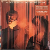 In the big room - Live at the Real World studios 2003 - PETER GABRIEL