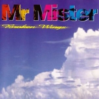 Broken wings (best of) - Mr.MISTER