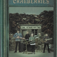 In the end (deluxe edition) - CRANBERRIES
