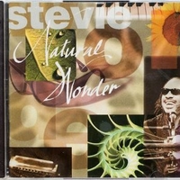 Natural Wonder - Stevie Wonder live in concert - STEVIE WONDER