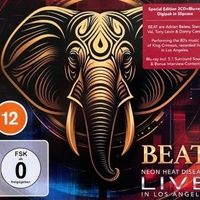 Neon heat disease - Live in Los Angeles - BEAT