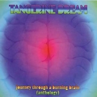 Journey Through A Burning Brain (Anthology) - TANGERINE DREAM