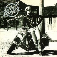 Too wild to tame - The BOYZZ