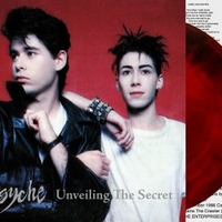 Unveiling the secret - PSYCHE