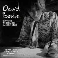 Spying through a keyhole - DAVID BOWIE