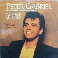 Walk trough the fire \ The race - PETER GABRIEL