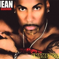 Chameleon - JEAN BEAUVOIR