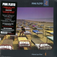 A momentary laps of reason - PINK FLOYD