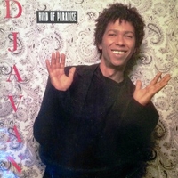 Bird of paradise - DJAVAN