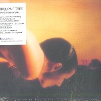 On the sunday of life... - PORCUPINE TREE