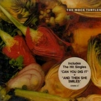 Two sides - THE MOCK TURTLES