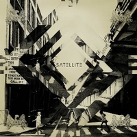 Calling birds - SATELLITE