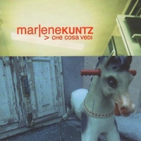 Che cosa vedi - MARLENE KUNTZ