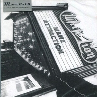 Mane attraction - WHITE LION