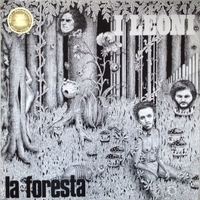 La foresta - I LEONI