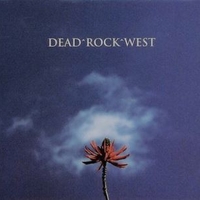 Honey and salt - DEAD ROCK WEST