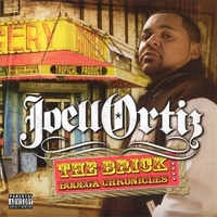 The brick / Bodega chronicles - JOELL ORTIZ