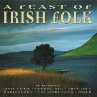 A feast of irish folk - VARIOUS