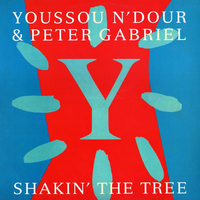 Shakin' the tree  - YOUSSOU N'DOUR \ PETER GABRIEL