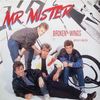 Broken wings (extended version) - Mr.MISTER