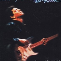 A night with Lou Reed-Lou Reed in concert - LOU REED