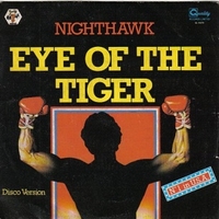 Eye of the tiger (disco version) (vocal+instrumental) - NIGHTHAWK