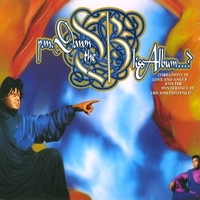  The Bliss Album...? (Vibrations Of Love And Anger And The Ponderance Of Life And Existence) - P.M. DAWN