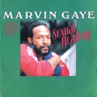 Sexual healing (long vers.) - MARVIN GAYE