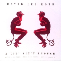A lil' ain't enough - DAVID LEE ROTH