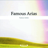 Famous arias - VARIOUS