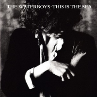 This is the sea - WATERBOYS