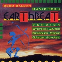 Earthbeat - BEBO BALDAN \ DAVID TORN