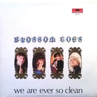 We are ever so clear - BLOSSOM TOES