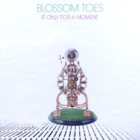 If only for a moment - BLOSSOM TOES