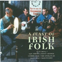 A feast of irish folk - VARIOUS