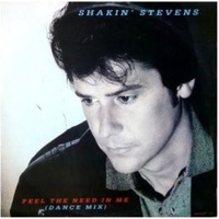 Feel the need in me (dance mix) \ If I can't have you - SHAKIN' STEVENS