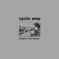 Shrapnel in the toyshop - CYCLIC AMP