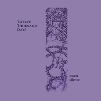 Insect silence - TWELVE THOUSAND DAYS